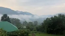 Gorilla Conservation Camp 