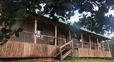 Gorilla Conservation Camp 