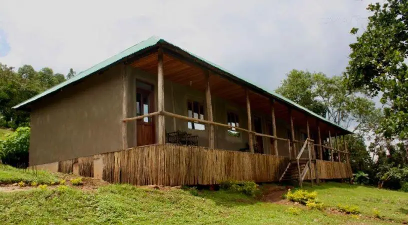 Gorilla Conservation Camp 