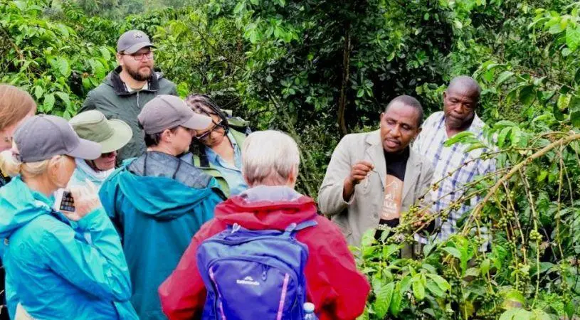 Gorilla Conservation Camp 