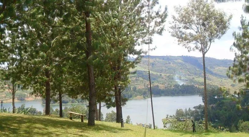 Bunyonyi Safaris Resort 