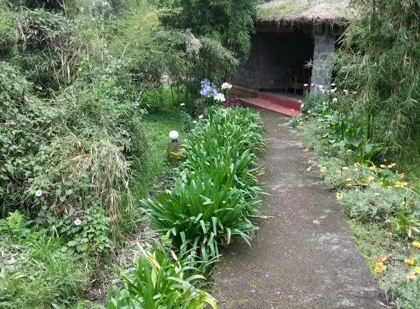 Le Bambou Gorilla Lodge 