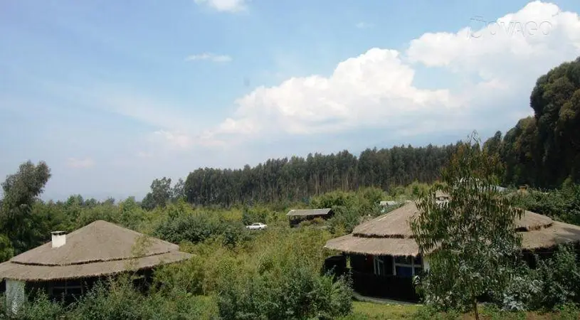 Le Bambou Gorilla Lodge 