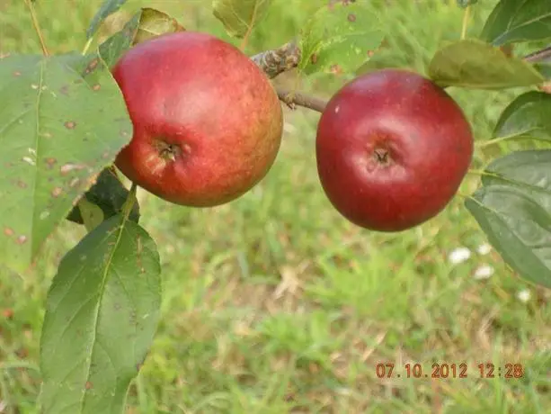 Finca Portizuelo