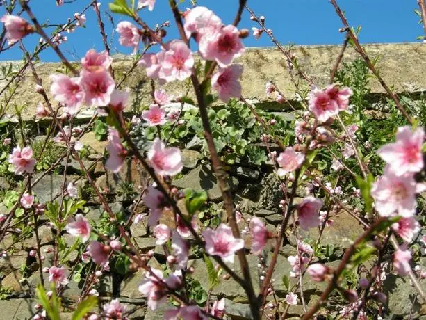 Finca Portizuelo 