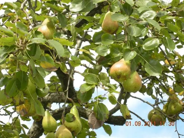 Finca Portizuelo 