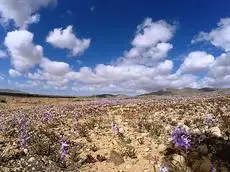 Apartamento Rural La Asomada 