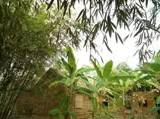 Green Village Homestay 