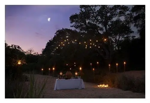 Thornybush Game Lodge 