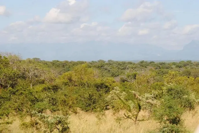 Thornybush Waterside Lodge