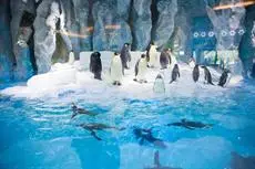 Chimelong Penguin Hotel 