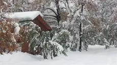 Cabanas Roble Quemado 