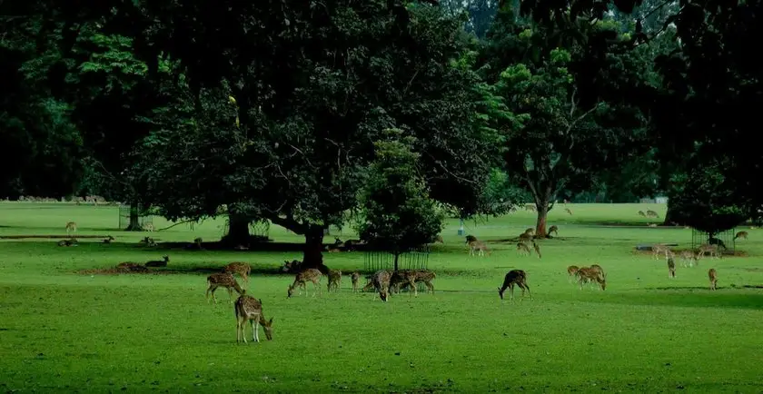 Bogor Valley Hotel 