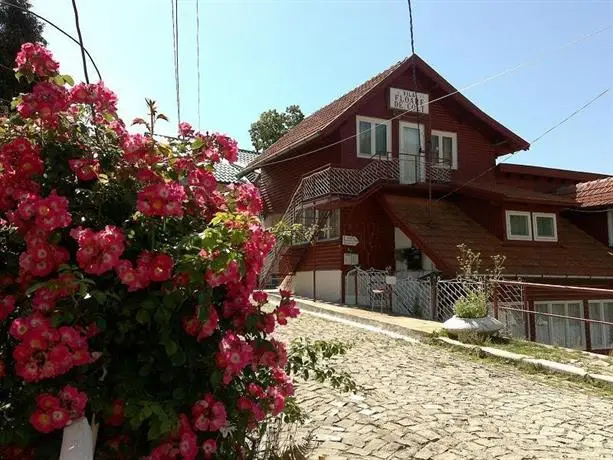 Vila Floare de Colt Sinaia