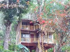 Jungle Jive Tree House Munnar 