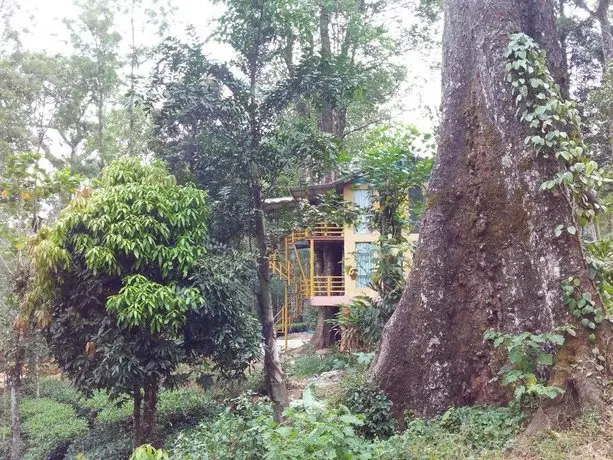 Jungle Jive Tree House Munnar 