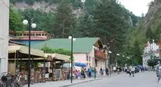 Borjomi Central Park Apartment 