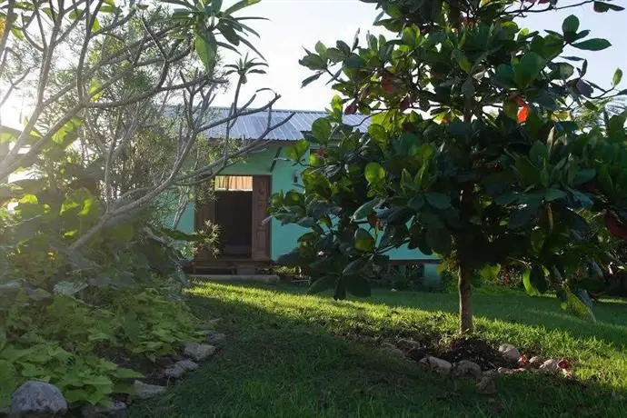 The Green House San Ignacio