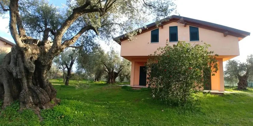 La Piana degli Ulivi Rossano 