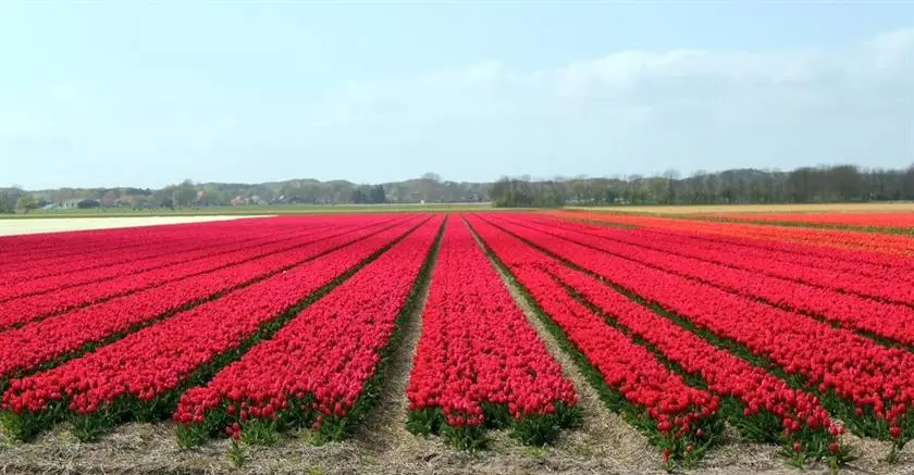 Het Eerste Huisje vacation home 