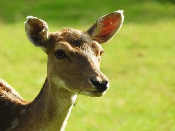 Bospark de Schaapskooi 