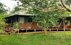 Amazon Lodge Tambopata 