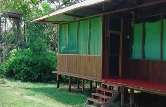 Amazon Lodge Tambopata 