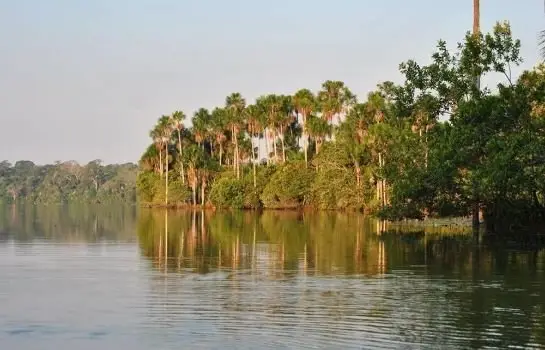 Amazon Lodge Tambopata 