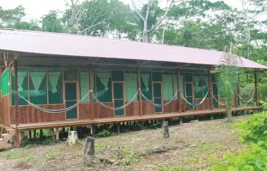 Amazon Lodge Tambopata 