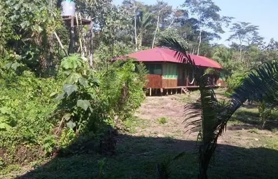 Amazon Lodge Tambopata 