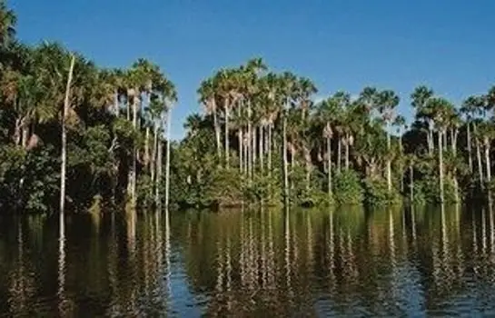 Amazon Lodge Tambopata 