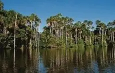 Amazon Lodge Tambopata 