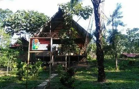 Amazon Lodge Tambopata 