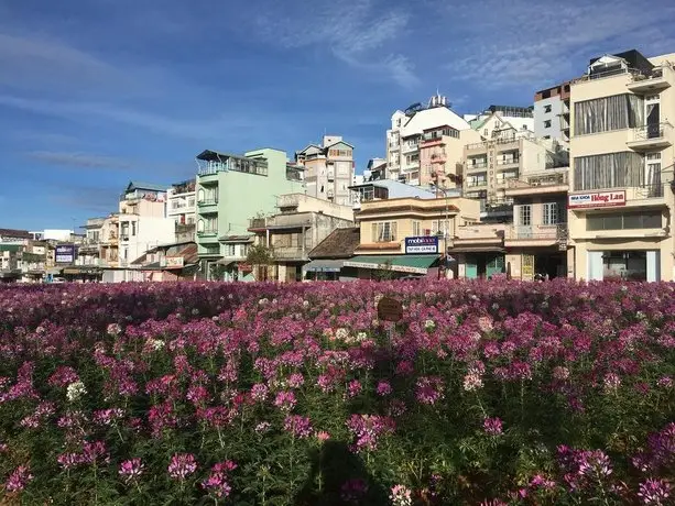 Wolfpack Hostel Dalat