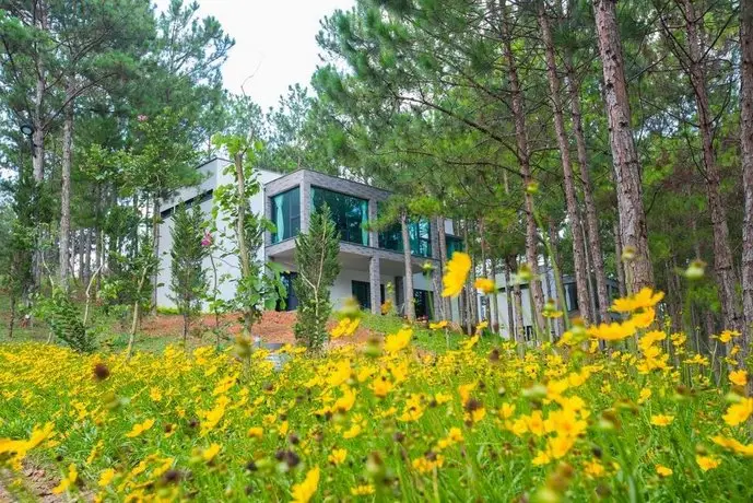 Terracotta Hotel & Resort Dalat 