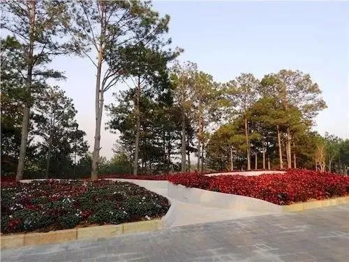 Terracotta Hotel & Resort Dalat 