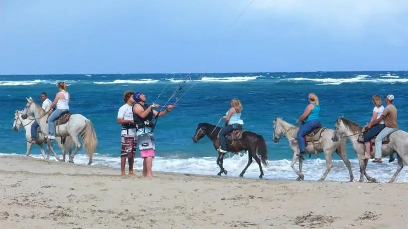 Hooked Cabarete 