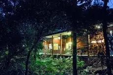 Jaguarundi Lodge - Monteverde 