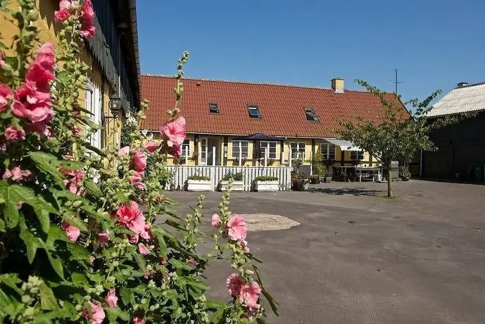 Myregaard B & B and Apartments 