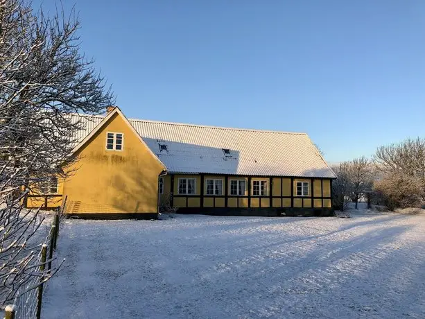 Myregaard B & B and Apartments 