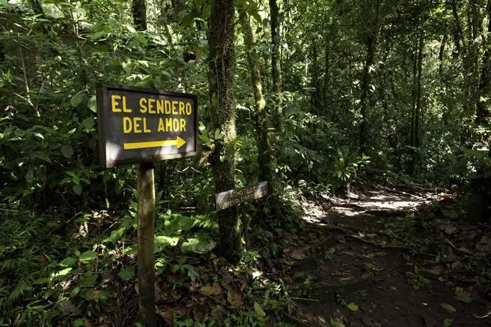 Wagelia Espino Blanco Lodge 