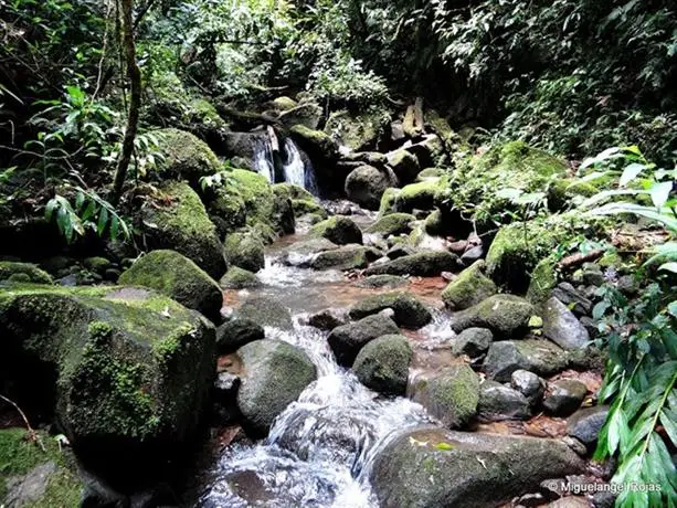 Wagelia Espino Blanco Lodge 