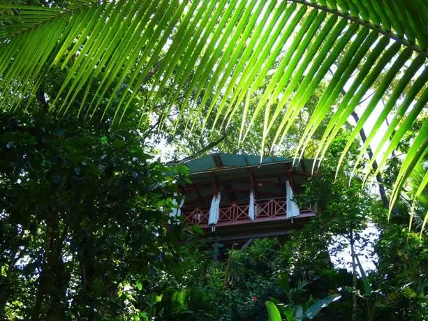 Jungle Hill Eco-House