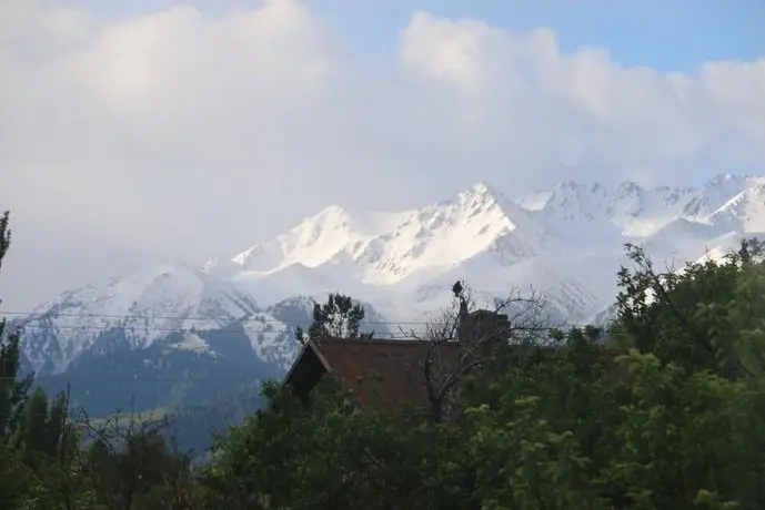 Hotel Nice Karakol 