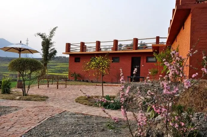 The Little House in the Rice Fields