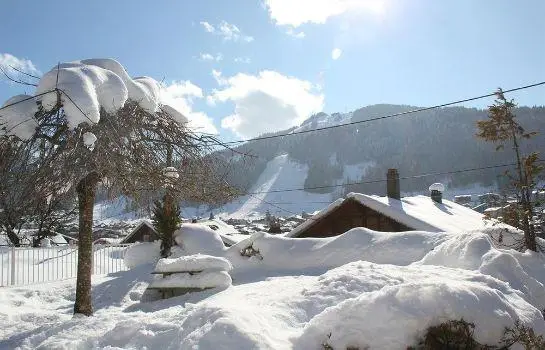 Appartement l'Ours Blanc 