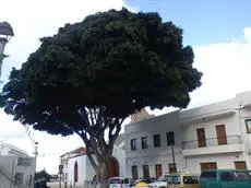 Casa campo y Playa Taganana 