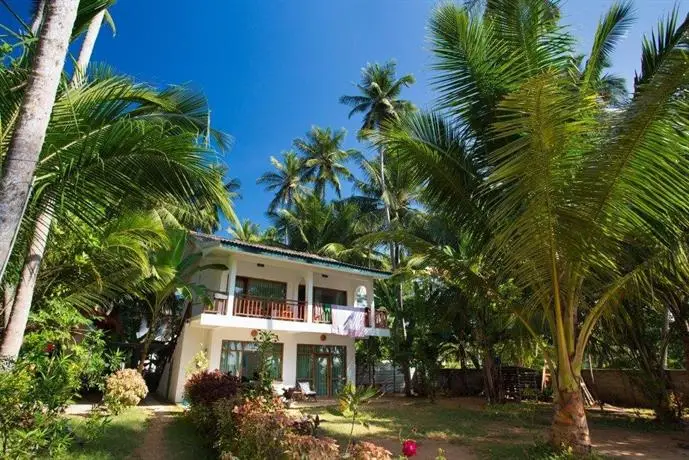 Coconut Palm Guesthouse