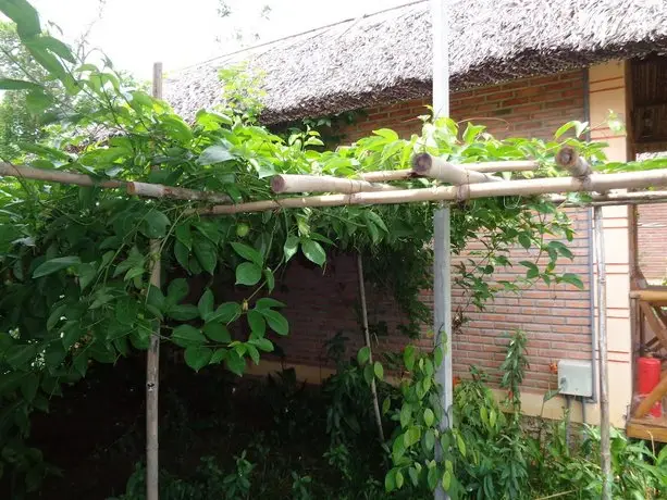 Ninila Fruit Farm Bungalow 