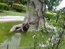 Hanoi Palace 